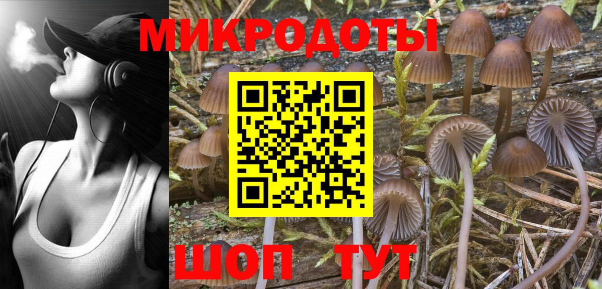 Галлюциногенные грибы мицелий Клинцы