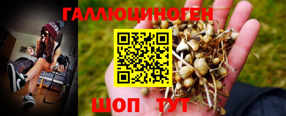 Клинцы  Псилоцибиновые грибы MAGIC MUSHROOMS  Вход с VPN 